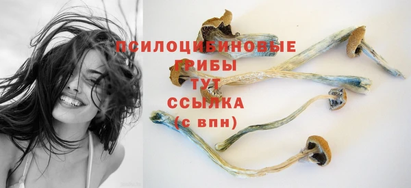 шишки Абдулино