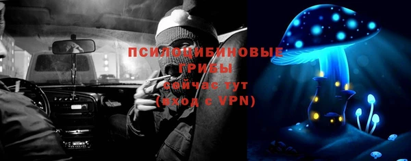 шишки Абдулино