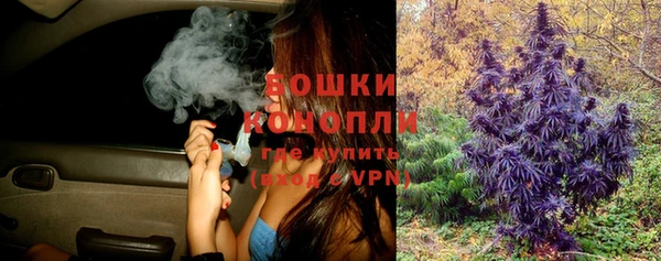 шишки Абдулино